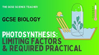 GCSE Biology Photosynthesis Required Practical AQA OCR Edexcel [upl. by Ciccia]