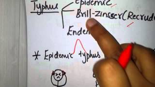 Rickettsia simplified  Part 1  Intro and classification [upl. by Sivad]