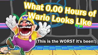 What Zero Hours of Wario Looks Like in Super Smash Brothers Ultimate [upl. by Stambaugh7]