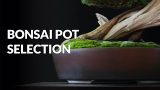 Choosing a Bonsai pot [upl. by Hubing]