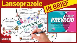 Lansoprazole  Prevacid  What is Lansoprazole Used For Dosage Side Effects amp Precautions [upl. by Macswan519]