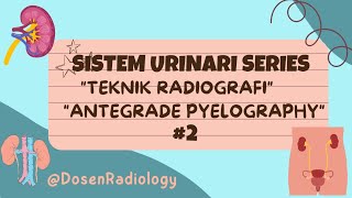 Teknik Radiografi Antegrade Pyelography APG urinary urinarysystem antegrade pyelonephritis [upl. by Dnar]