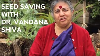 Saving Seeds at Home with Vandana Shiva [upl. by Ansel]