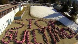 Anti Bullying Day Timelapse  Fruitvale Elementary School [upl. by Randi182]