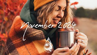 IndiePopFolk Compilation  November 2024 2½Hour Playlist [upl. by Kristof923]