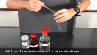 Testing of Chloride Anion  silver nitrate and nitric acid [upl. by Nylg]