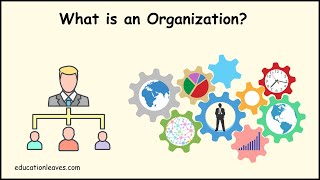 What is an Organization  Elements Process importance of Organization [upl. by Ahsiaa]