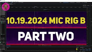 Spectrogram Audio Analysis from Overnight Recording 10192024 PART TWO [upl. by Ahgiel531]