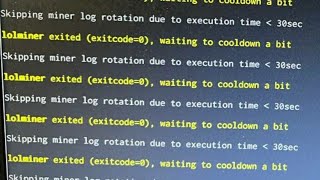 The SPECIALIST EXPLAINS How To Fix Error LoLminer exited Waiting To Cooldown a Bit [upl. by Lednahs]