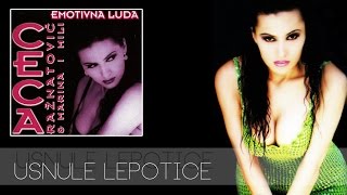 Ceca  Usnule lepotice  Audio 1996 HD [upl. by Eiryk]