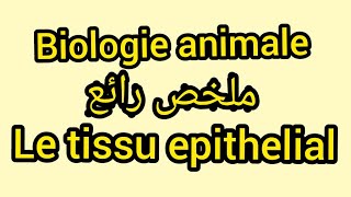 Biologie animale L1 s1 ch 05 le tissus epithelialles Epitheliums [upl. by Dnomed738]