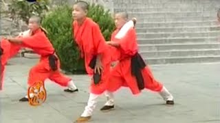 Shaolin Kung Fu BodyBuilding flexibility [upl. by Howarth]