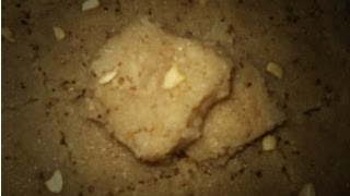 Nariyal Chakki Recipe  Ganesh Chaturthi Special Coconut Fudge Recipe [upl. by Llemmart]