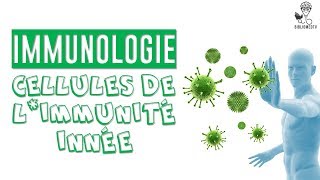 Immunologie  les Cellules de lImmunité Innée [upl. by Nednil611]