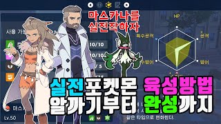 알까기개체값노력치특성 모든 실전작 이 영상 하나면 됩니다 [upl. by Atiuqrehs]