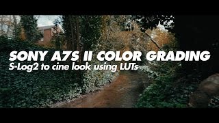 Color grading Sony A7S II SLog2 using LUTs for cinema look [upl. by Drewett]