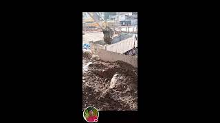 KUYA SAM676 is live 131 Dump Truck Loading Sands and Soil [upl. by Cilla624]