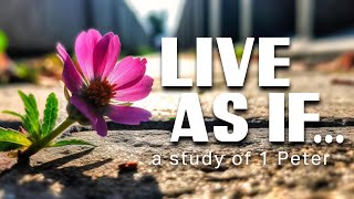 Live As If  Lesson 4 [upl. by Yelich]