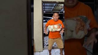 Pembantu baru shorts comedy lucu kucing [upl. by Bernt]