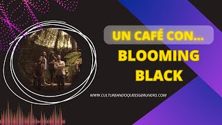 Un café con Blooming Black [upl. by Ahsinwad610]