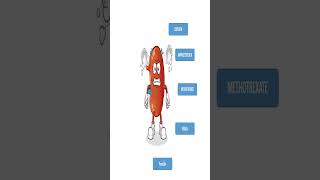 Drugs causing Nephrotoxicitypharmacoeasymedicalbiologyanimatedshorts [upl. by Miguel]