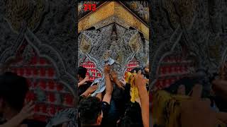 313 kerbela najaf ziyarat [upl. by Acirederf]