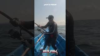 REDBASS VERSUS REDJACK MANCING IKAN DI LAUT MALUKU BARAT DAYA FEAT BLI kadekwawanwijaya Shorts [upl. by Desdemona370]