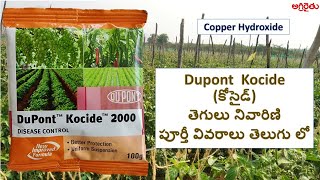 Dupont Kocide fungicide కోసైడ్ తెగులు నివారిణి in Telugu  Copper Hydroxide [upl. by Eniffit697]