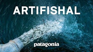 Artifishal The Fight to Save Wild Salmon  Patagonia Films [upl. by Sirahs]