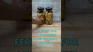 Homemade Apple Cider Vinegar apples homesteading selfsufficiency preserve fermenting [upl. by Clifford]