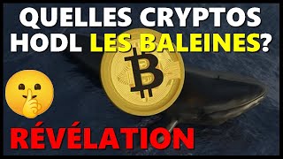 Je dévoile le portefeuille des baleines crypto  🤫 [upl. by Almita]