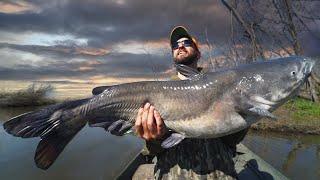 2 Hours of Hauling in GIANT CATFISH in Rivers Lakes and Creeks CATCH AND COOK [upl. by Imar323]