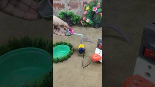 mini motor water pump science project  Cow bathed video  22 [upl. by Annawak]