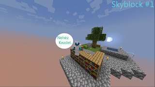 Nem ad a jég vizet he  Skyblock 1 [upl. by Sunev219]