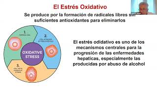 HEPATOLOGIA EN RED  CLASE 11 [upl. by Tezil]