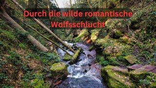 Fotowalk  die romantisch wilde Wolfsschlucht im Neckartal fotografieren [upl. by Enos]