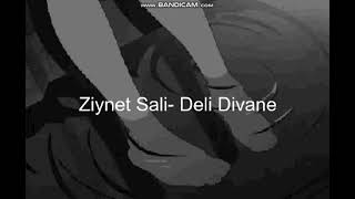 Ziynet SaliDeli Divane Slowedreverb [upl. by Keelia423]