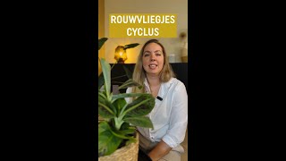 De cyclus van een rouwvliegje  Pokon [upl. by Phineas]