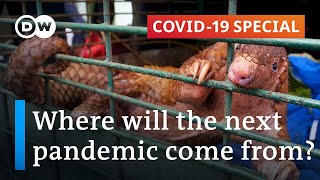 Zoonotic diseases Can we prevent the next pandemic  Covid19 Special [upl. by Asseram]