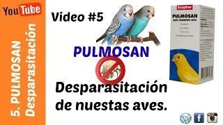 Pulmosan  Desparasitación de nuestras aves [upl. by Wil]