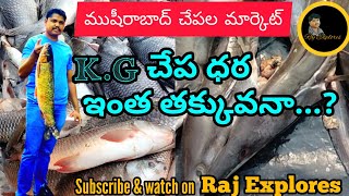 Musheerabad Fish Market  Ramnagar Fish market [upl. by Sarkaria]