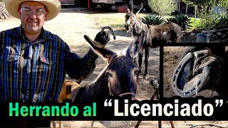 Tambien a los Burritos los Herramos  Herrando a un Burro en el Ranchito de los Rios [upl. by Esille]