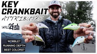 Master Crankbait Fishing with Keith Carson From Shallow to Deep [upl. by Canty314]