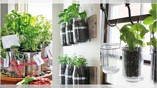 7 herbes aromatiques et médicinales faciles à faire pousser chez soi et comment les cultiver [upl. by Ynnej]