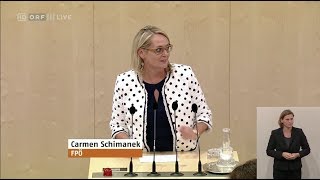 Carmen Schimanek  Familienbonus Plus JStG 2018  472018 [upl. by Epuladaug]