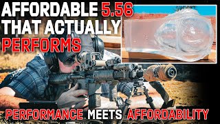 Affordable 556 Loads That ACTUALLY Perform [upl. by Enilra]