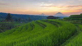 Relaksasi Musik Sunda di Jatiluwih [upl. by Alburg745]