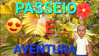 Final da Aventura Huperzia Fruta pão tapereba Cipó Alho Philodendron Maranta Plantar [upl. by Accber]