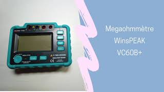 Megaohmmètre WinsPEAK VC60B [upl. by Minor]