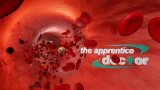 Blender 283 Medical Animation  Aortic Compliance  Windkessel Effect [upl. by Zared]